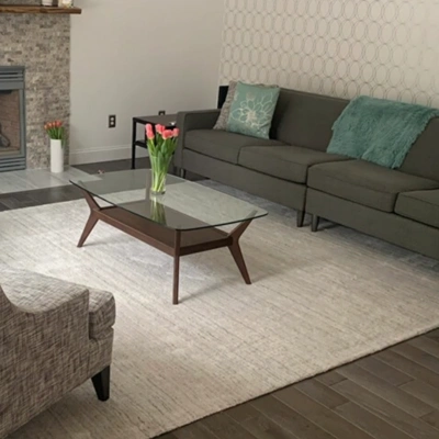 Area rugs in living area